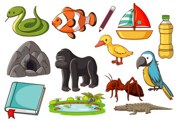 Set of various animals and objects vector