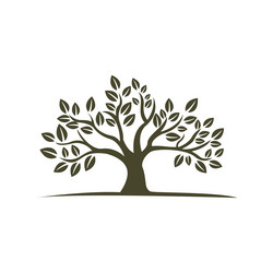 tree with leaves simple icon for web and logo vector image