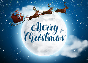 Christmas Night Sleigh Ride Vector Image