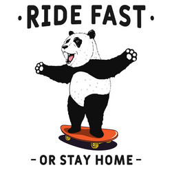Panda rides on bicycle Royalty Free Vector Image