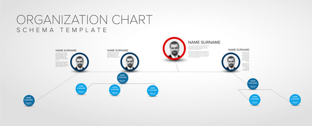 minimalist 3d hierarchy chart schema with photos vector image