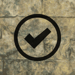 check mark flat modern web button and space vector image