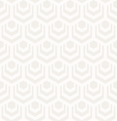 abstract hexagon pattern vector image