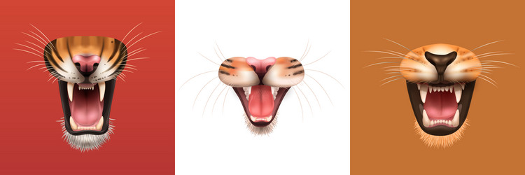 Animal mouth set Royalty Free Vector Image - VectorStock Animal mouth set Royalty Free Vector Image - VectorStock