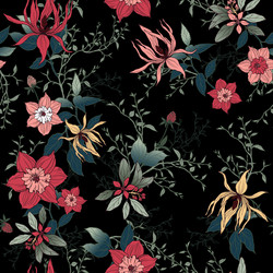 Floral Black Background Pattern Vector Image