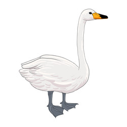 Cartoon Swan Vector Images (over 2,800) Cartoon Swan Vector Images (over 2,800)