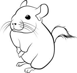 cute chinchilla line art black vector