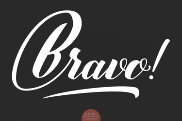 Hand drawn lettering bravo elegant modern vector