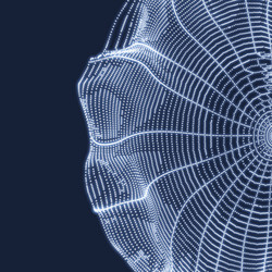 cobweb network background connection structure vector image
