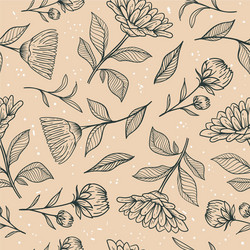 engraving hand drawn botanical pattern vector image