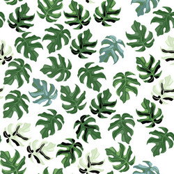 Random isolated seamless monstera leaf pattern vector