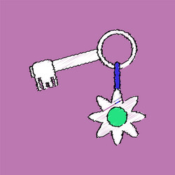 flat shading style icon key and fob vector image