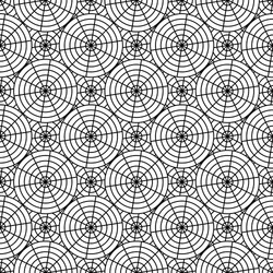 design seamless monochrome spider web pattern vector image