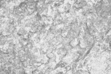 grunge pattern dots raster printing halftone vector image