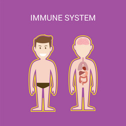 Immune system with cartoon human man vector