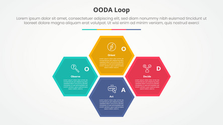 ooda loop infographic concept for slide vector image