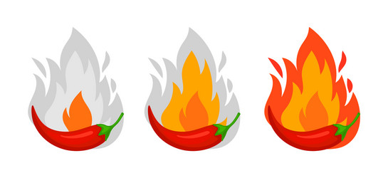 Chili pepper spice levels vector