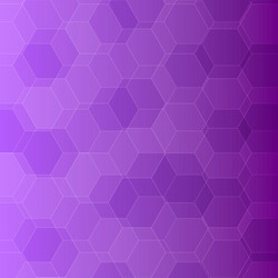Violet Hexagon Pattern Background vector image