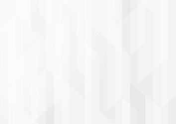 abstract background in white and gray gradient vector image