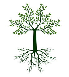 shape of green tree outline vector