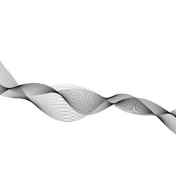 abstract wave element for design vector image