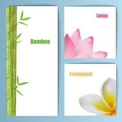 exotic tropical flowers invitation card layout vector image