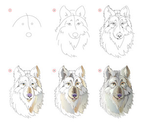 how to learn draw sketch fairy tale vector image