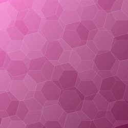 Pink Hexagon Pattern Background vector image