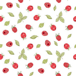 Raspberry Fruit Pattern vector image