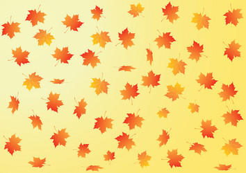 Floral autumn background Royalty Free Vector Image