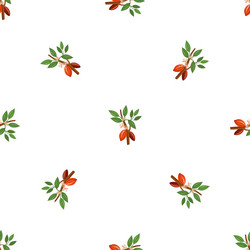cacao tree branch pattern seamless vector image