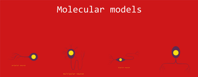 set of structure a motor neuron vector image