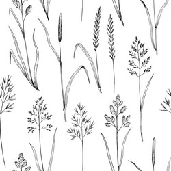 seamless pattern with meadow grass ink drawing vector image