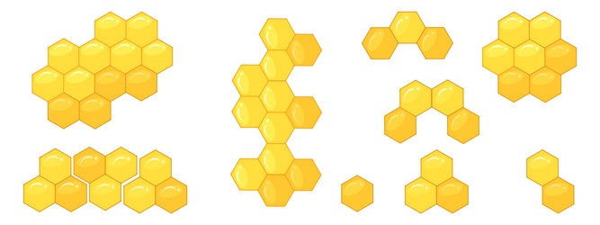 bee honeycomb a set of patterns from hexagons vector