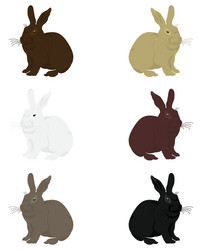 Cute Rabbit Silhouette Vector Image