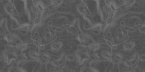 seamless pattern topographic map background vector image