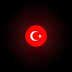 turkey earthquake wave with circle vibration icon vector