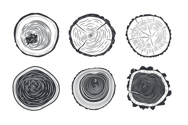 tree trunks cross sections vector image