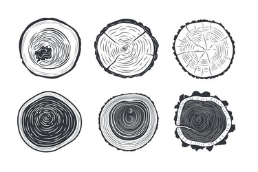 Tree trunks cross sections vector