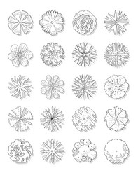 hand drawn set of top view trees vector image