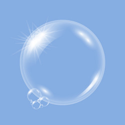 Realistic transparent soap water bubble vector