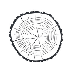 tree trunk cross section vector image