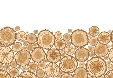 wood texture seamless horizontal pattern vector image