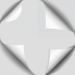 page curl with shadow on blank sheet of paper vector image