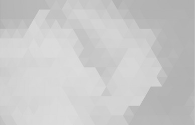 abstract white and gray gradient background vector image