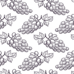 seamless pattern with drawing grapes vector image