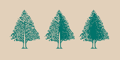 tree icon with different amount of foliage vector image