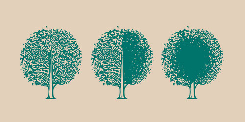 tree icon with different amount of foliage vector image
