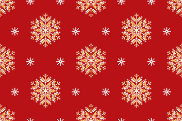 Elegant Snowflake Pattern vector image