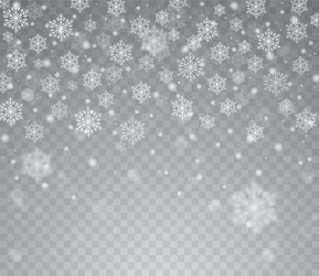 Falling snow isolated on transparent background Vector Image